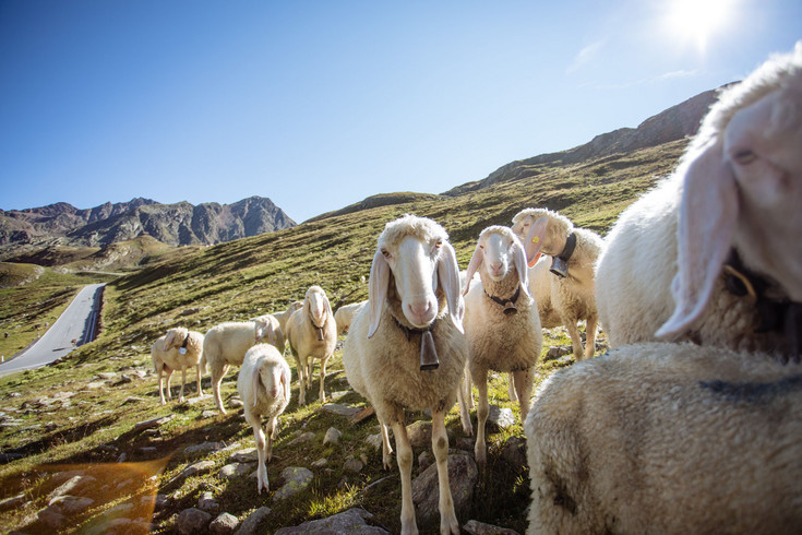 The idyllic Val Passiria/Passeiertal in South Tyrol The idyllic Val Passiria/Passeiertal in South Tyrol