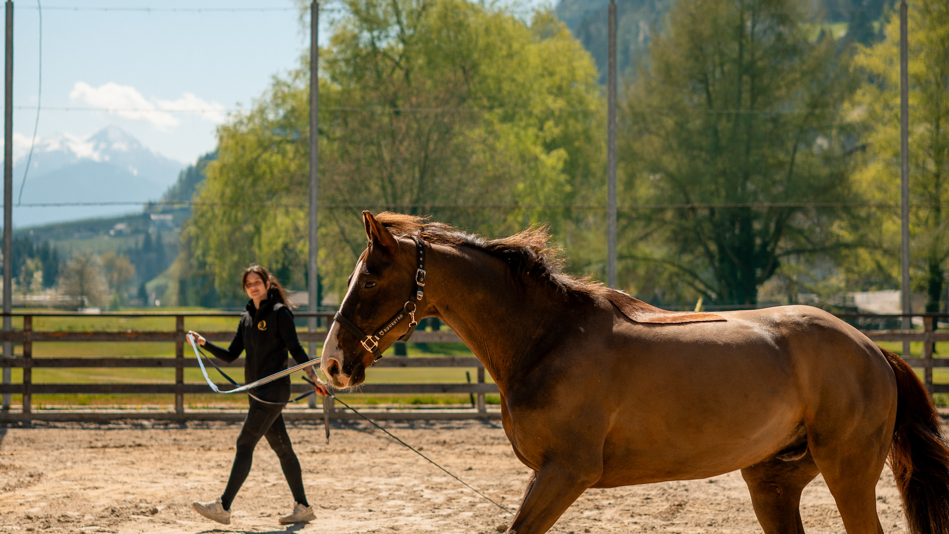 Se remettre en selle en vacances à cheval au Tyrol du Sud Se remettre en selle en vacances à cheval au Tyrol du Sud
