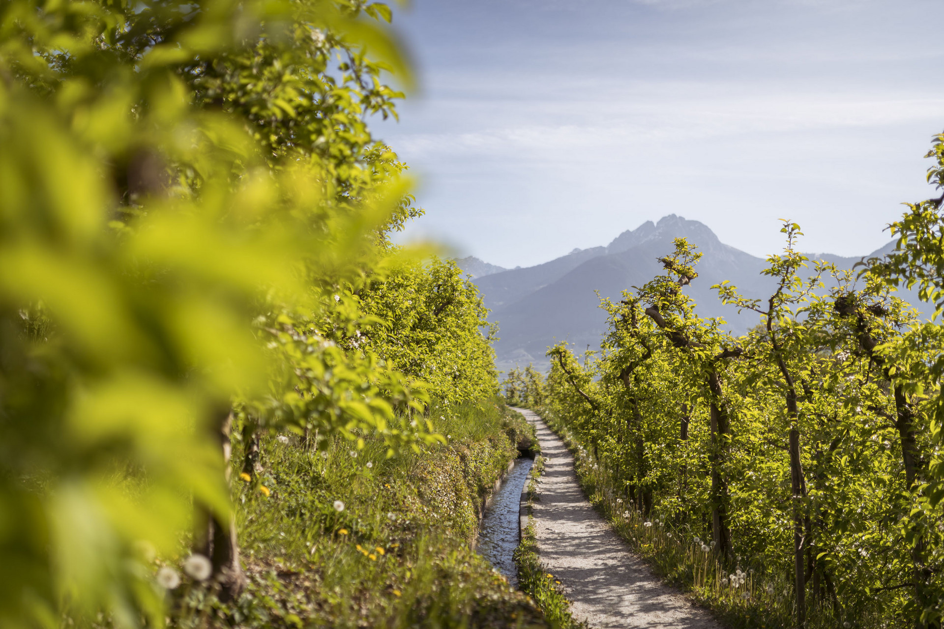 Der schönste Wanderurlaub in Südtirol: im Passeiertal Der schönste Wanderurlaub in Südtirol: im Passeiertal